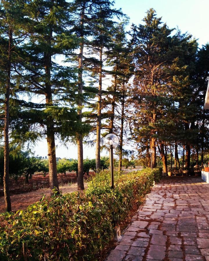 Dimora Romano Alberobello Bagian luar foto